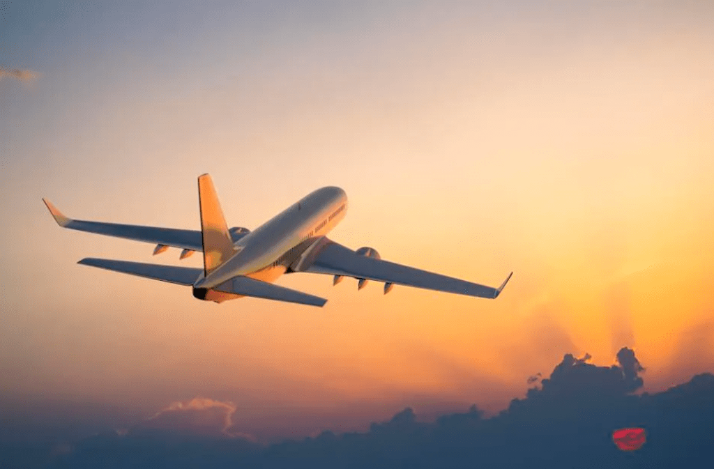 Aviation workers in Nigeria ๐ณ๐ฌ give airlines seven-day ultimatum over unpaid TSA