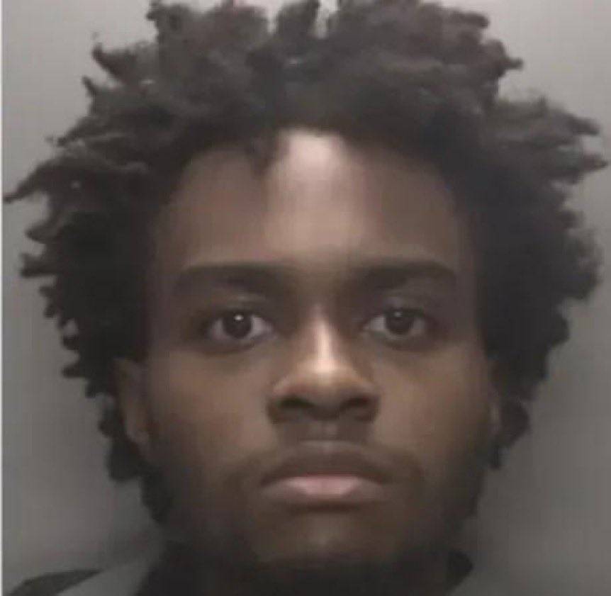 A 19-year-old Nigerian student in the United Kingdom, Oluwatobiloba Akinrinola, and another man have...
