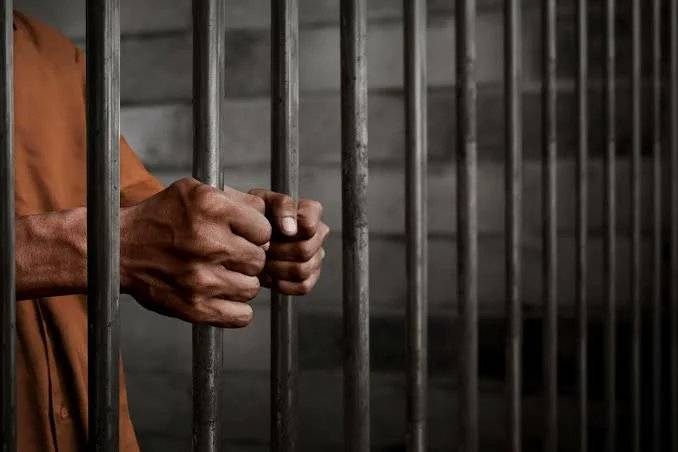 The Controller-General of the Nigerian Correctional Service, Sylvester Nwakuche, has disclosed that...