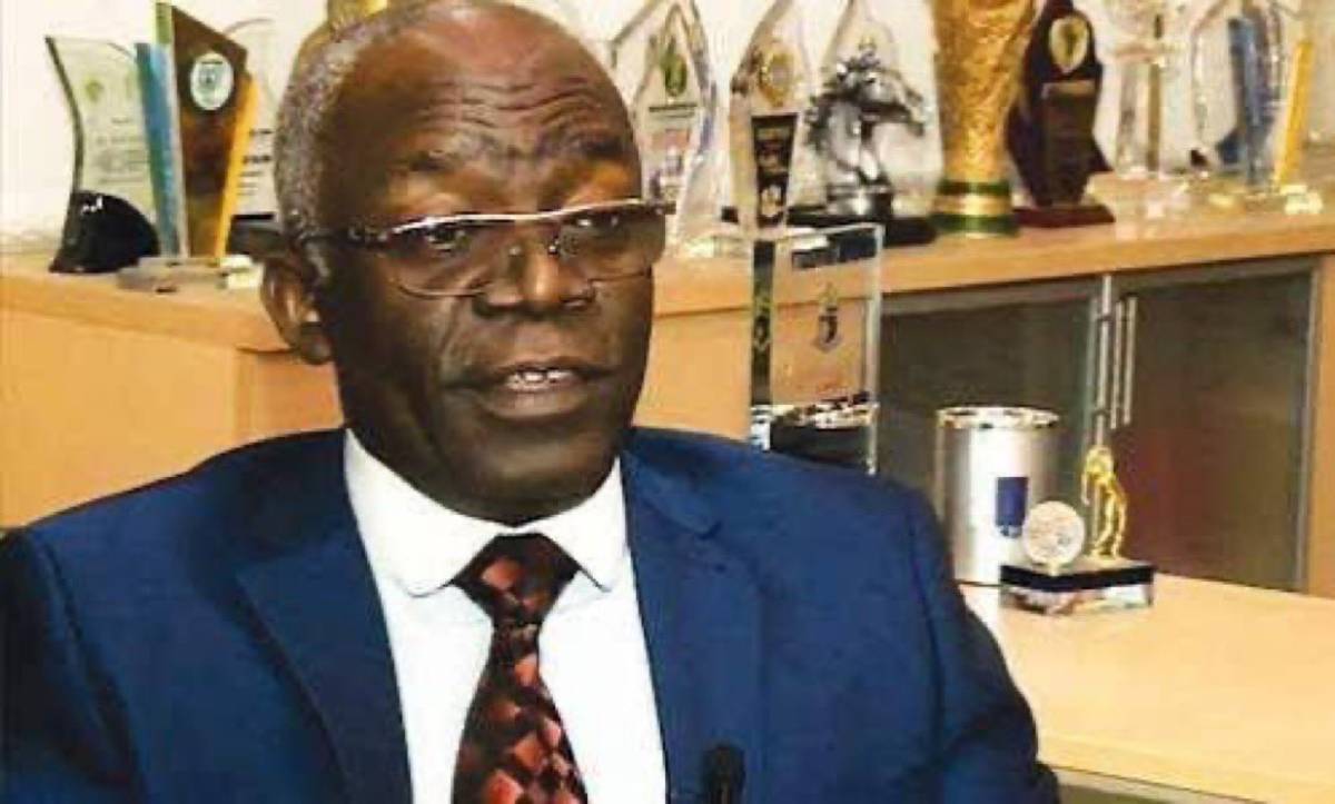 Falana tells Federal government to Sanction South African businesses over xenophobic attacks on Nige...