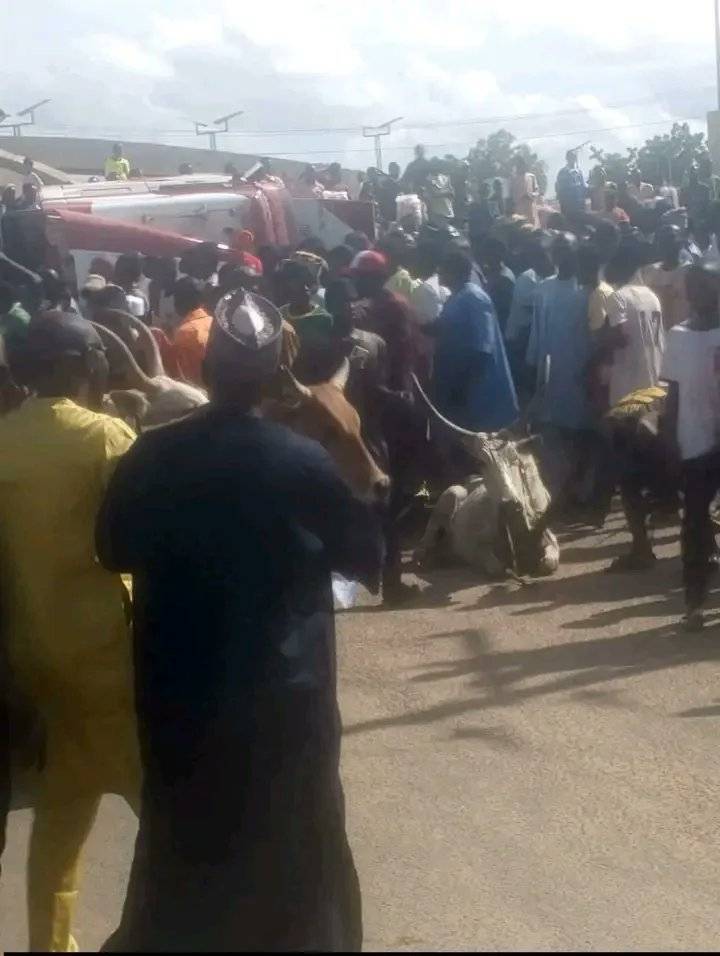 A trailer laden with cattle overturned today at the busy Dukku Junction in Gombe metropolis, causing...