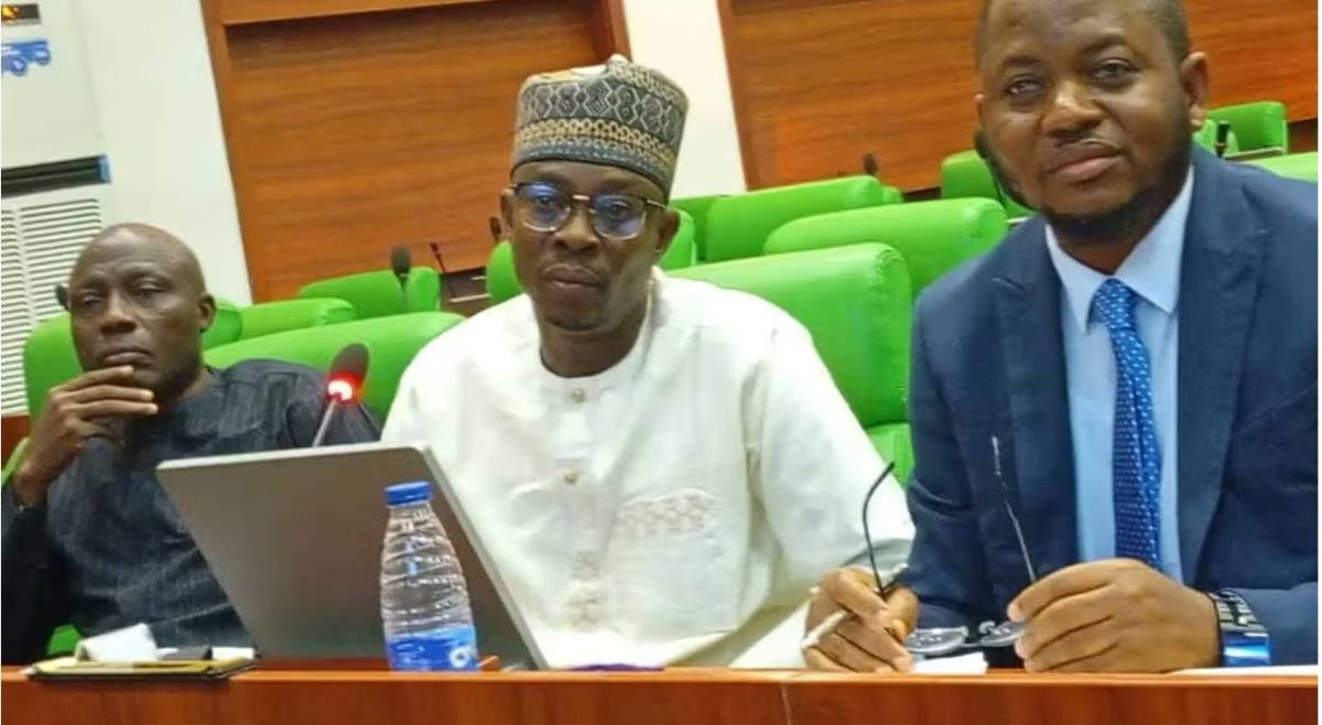 The Managing Director, Divine Dopacy Nigeria Limited, Gbenga Collins, has informed the House of Repr...