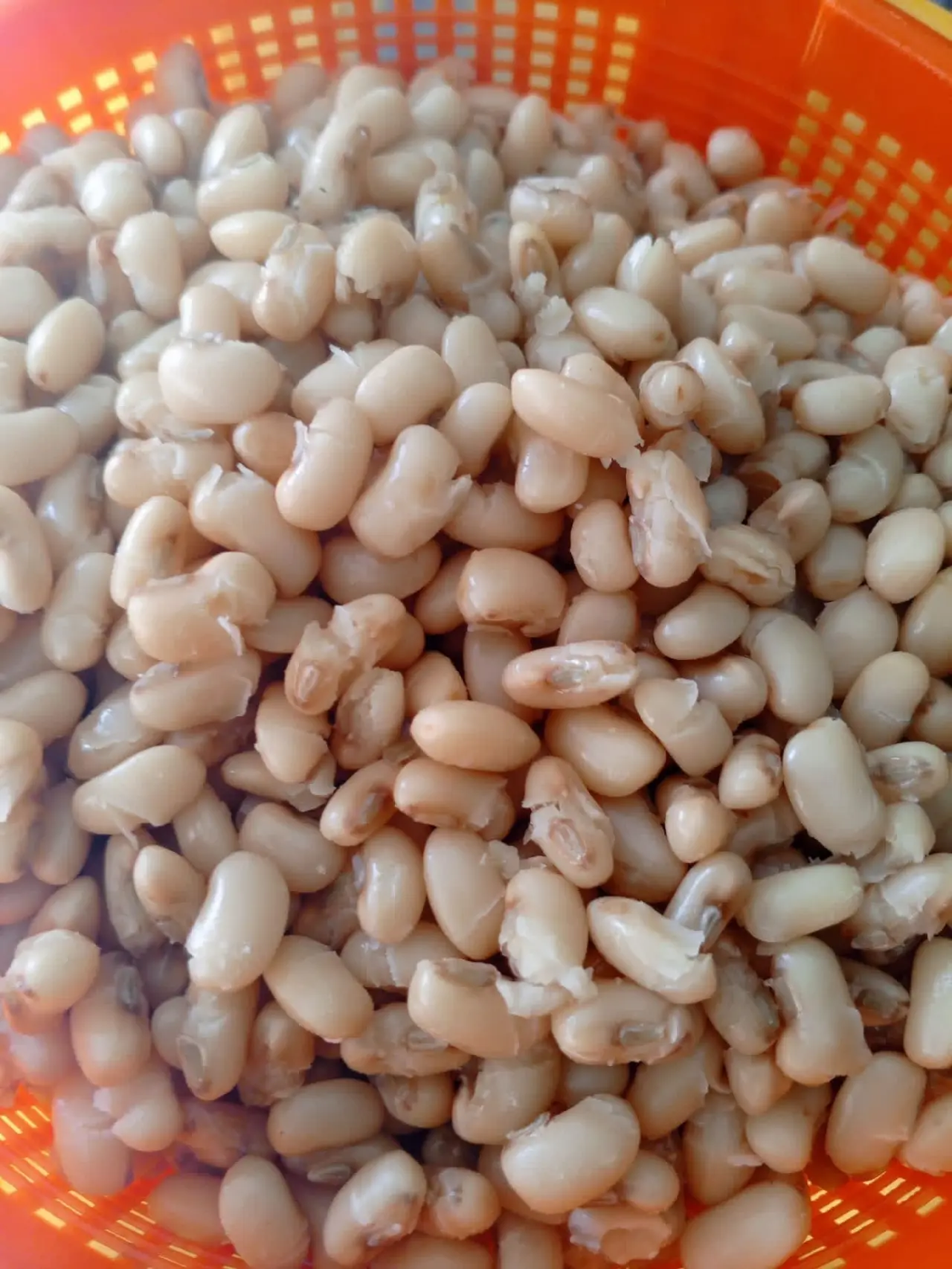 Does removing the water after parboiling beans actually make the beans healthier, or are we just thr...