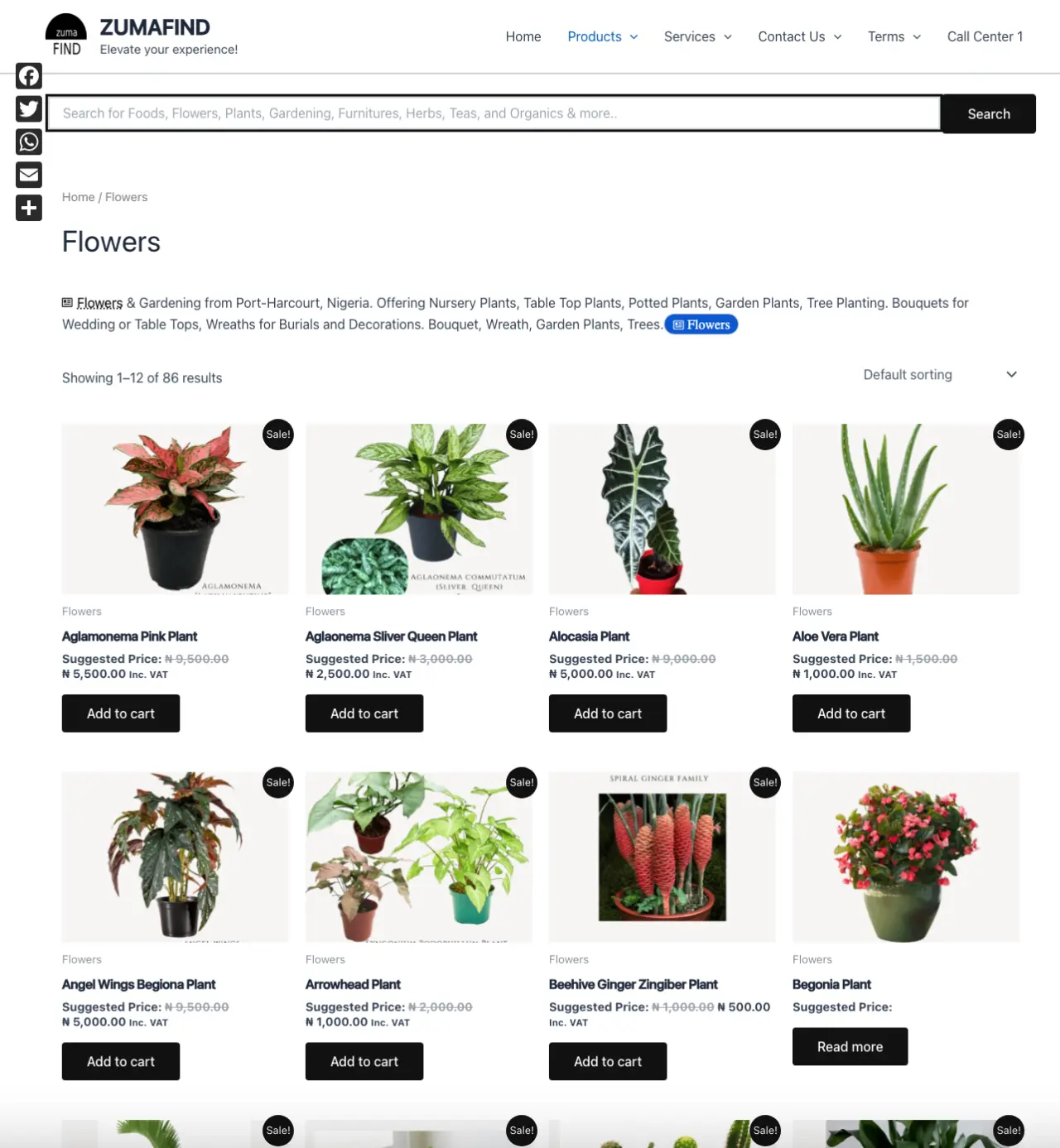 Zumafind 🌱 Plants, Flowers & Gardening
Flowers • Roses • Wreaths • Table Tops • Gardening
Shop Here...