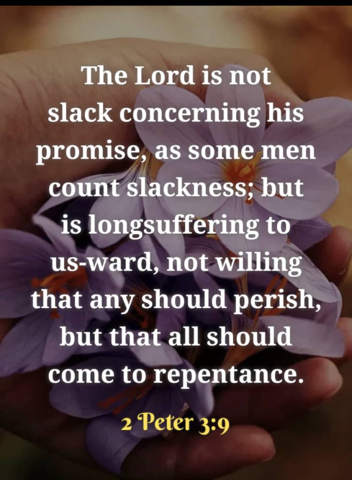 πΏ MIDWEEK DEVOTIONAL πΏ
After a while, many of us begin to wonder if God has forgotten the prayers...