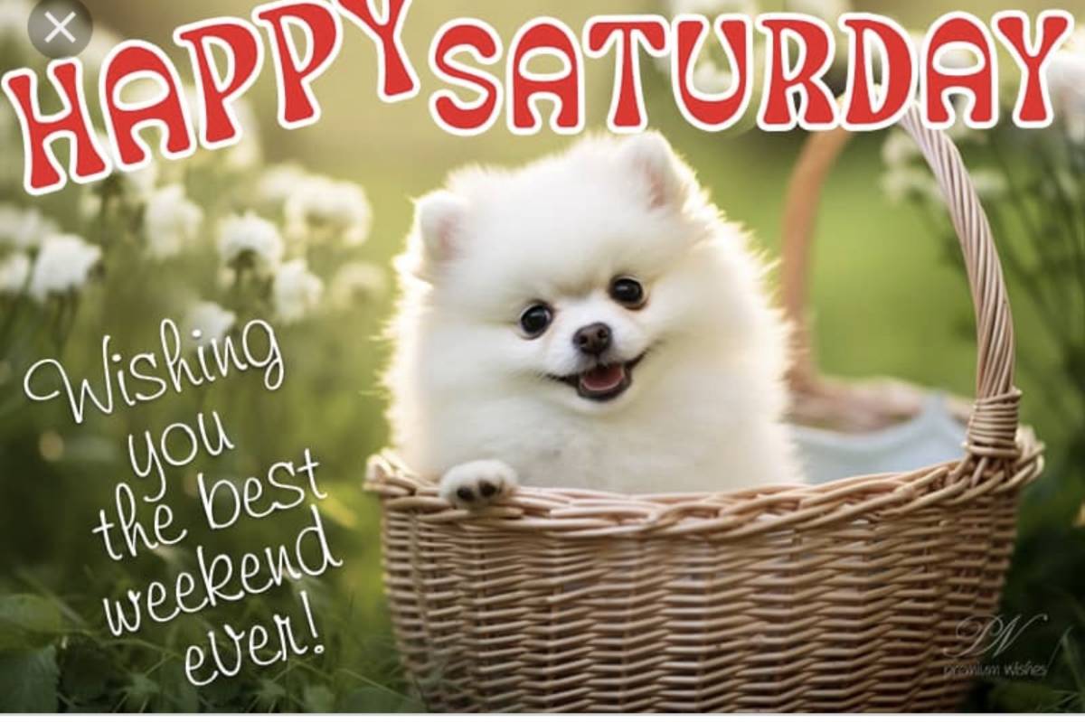 Happy Saturday, Lekeelekee Family. ❤️
Before you rush into another week, pause for a moment.
What'...