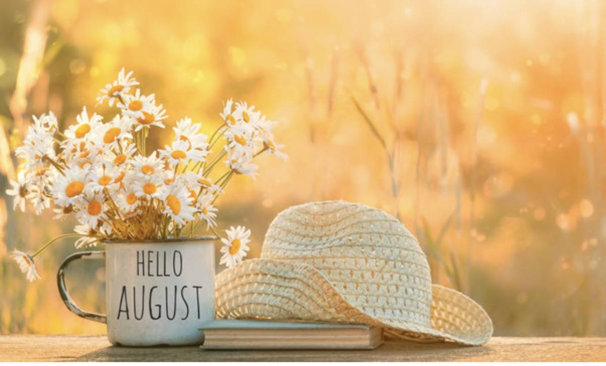 HELLO, AUGUST! πΉπβ€οΈ
A new month is like opening the first page of a fresh chapter.
You cannot rew...
