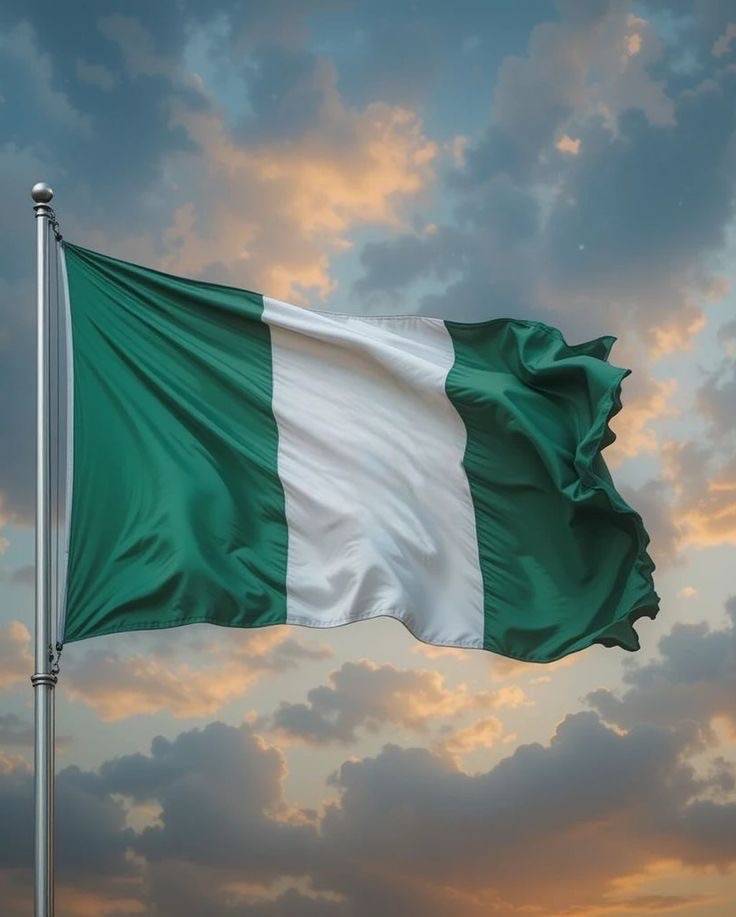 Nigeria’s government has long struggled with entrenched corruption, weak institutions, poor policy e...