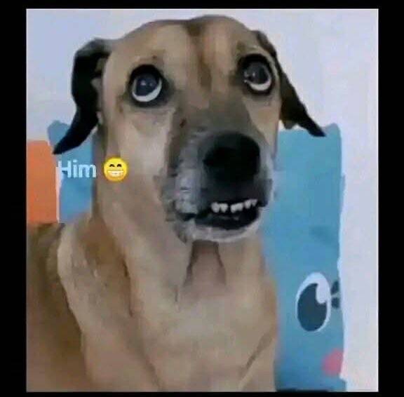After paying her house rent for one year…
Her: “Did I force you to pay it?”
Me: