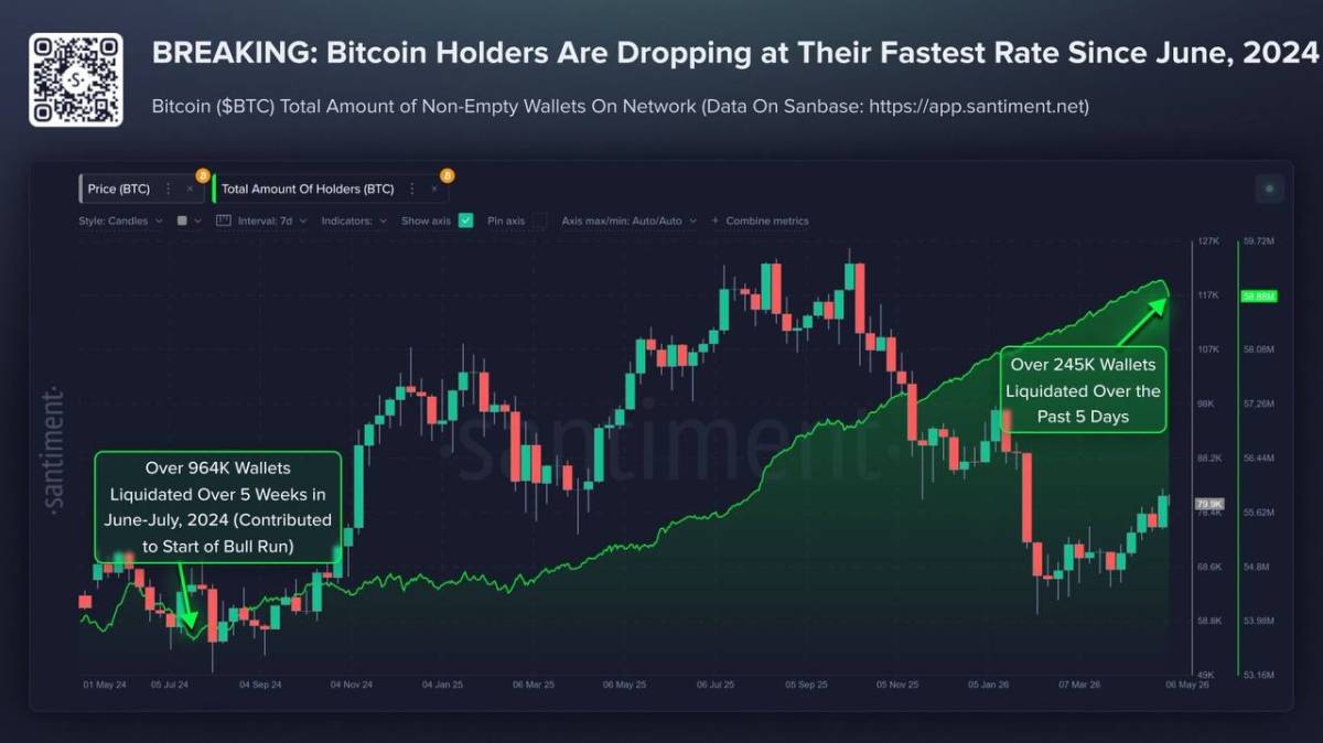 ๐ช Bitcoin is losing holders at its fastest rate in nearly 2 years, shedding 245K wallets in just 5...