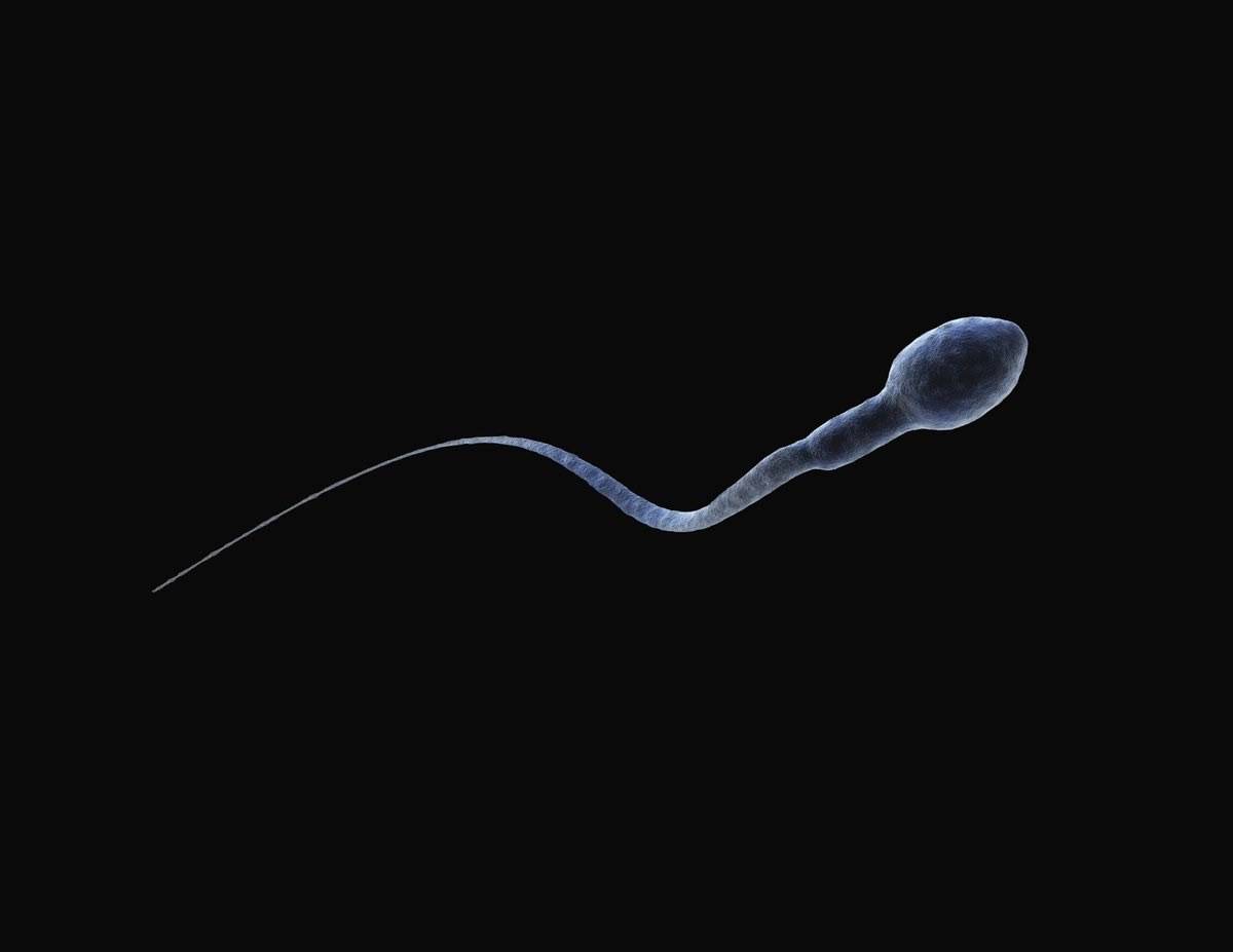 ๐ Crazy how a tiny sperm can turn into an unprofitable trader.
am I wrong?