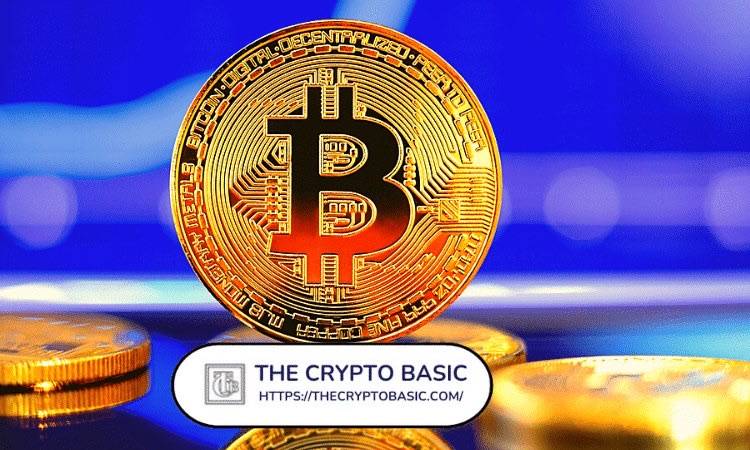 ๐ $686M in Bitcoin Leaves Major Exchanges in a Single Day
Nearly $686 million worth of Bitcoin was...