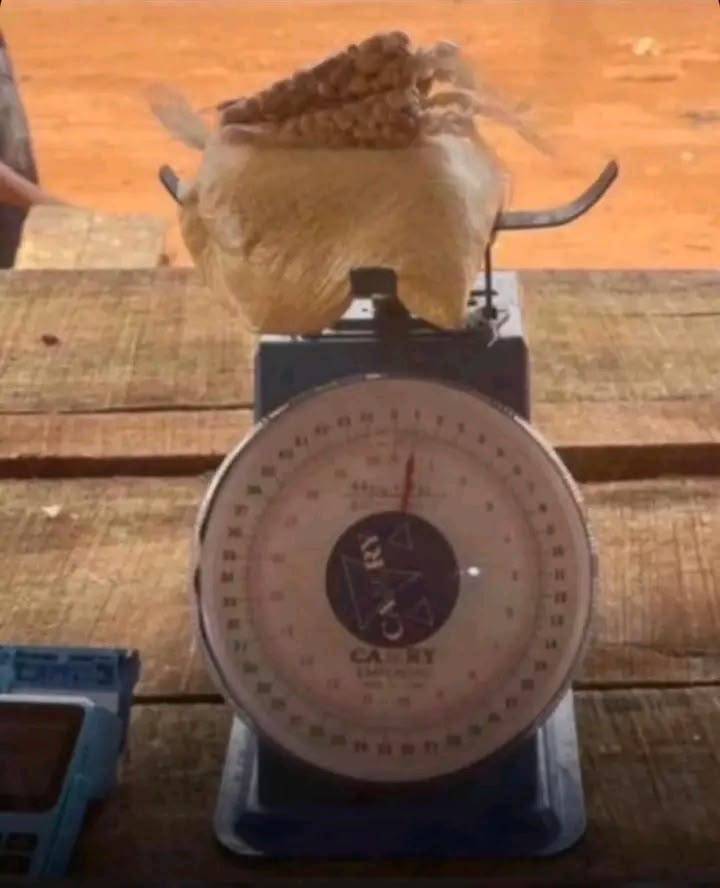 Na so my condition don reach oo π€¦ββοΈ
