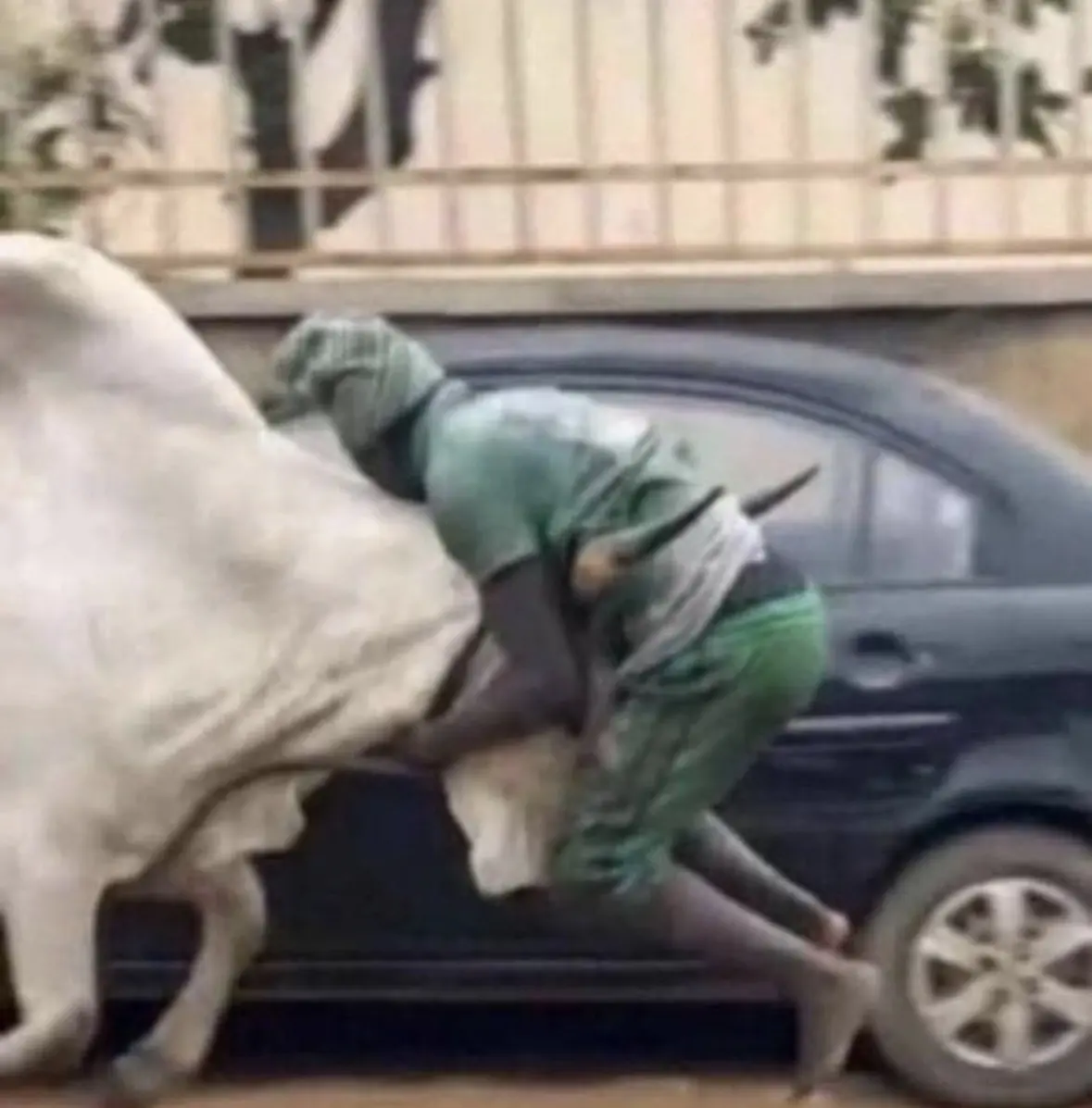 I have taken the bull by the horn just as you guys said. Make una talk fast
What’s the next step ?...
