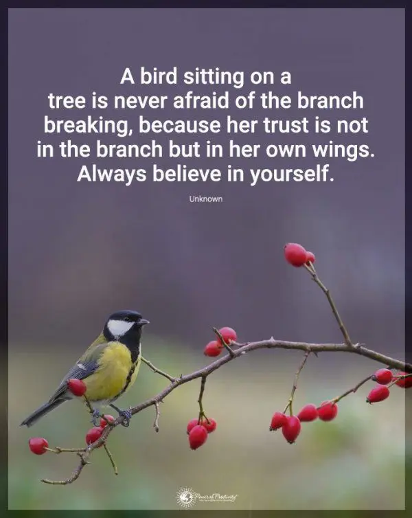 Always focus....@follow