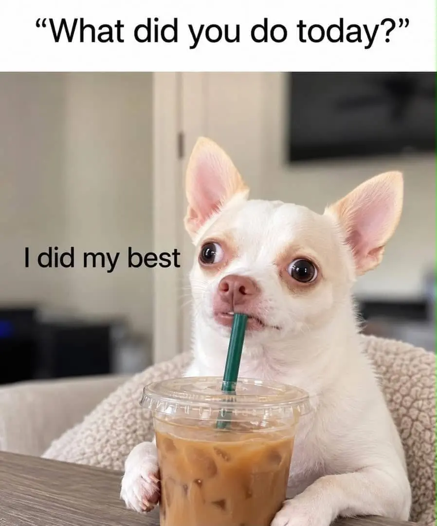 My absolute best