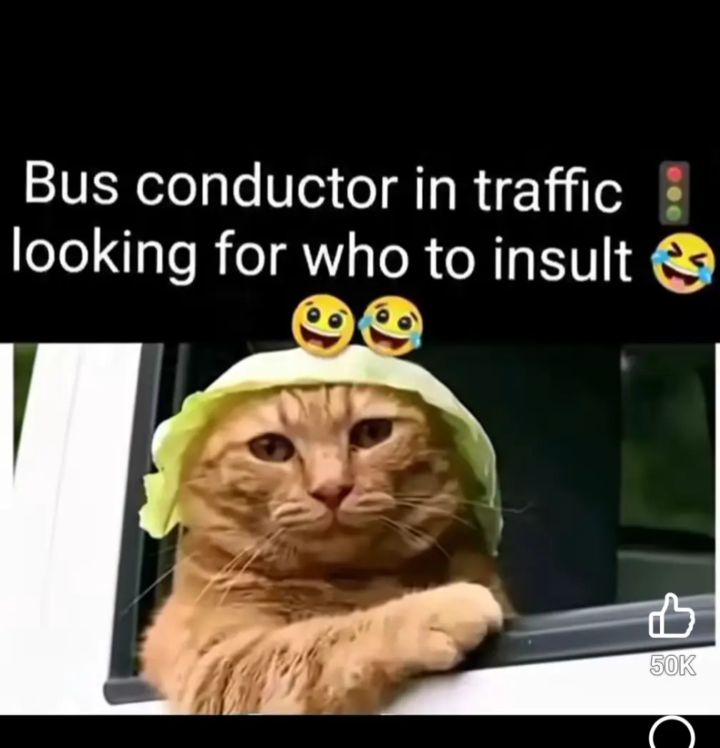 Na this kind face be say them don still carry person pass bus-stop
#goviral
