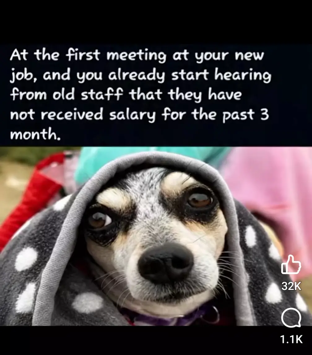 Omo no need for una to give me the job o.