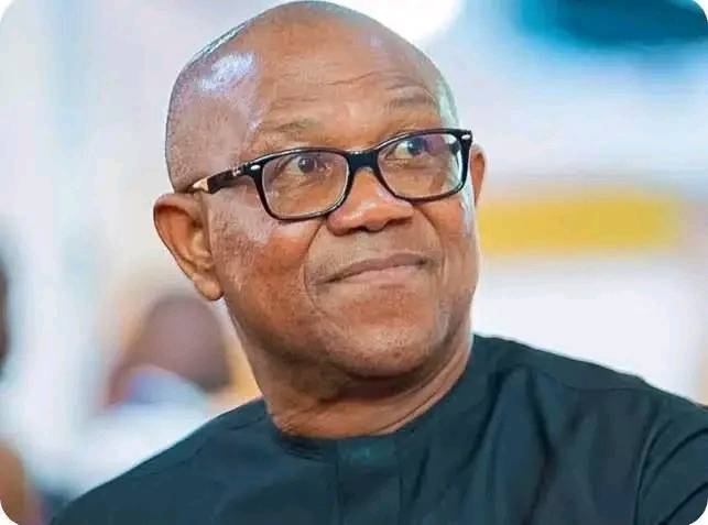 Peter Obi Would Not Be President God Willing. He is a Trader; Traders Have Short Term Calculations-...