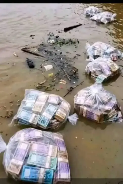 I saw this in my street this morning after the rain, please family what should I do now?