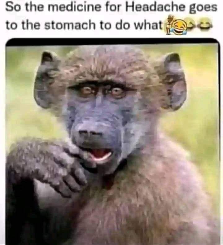 Am confused Man😆😆😆
please answer🤧🤧
#LekeeLekeeFamily #chrisdave #viral #africantech #foryoupage