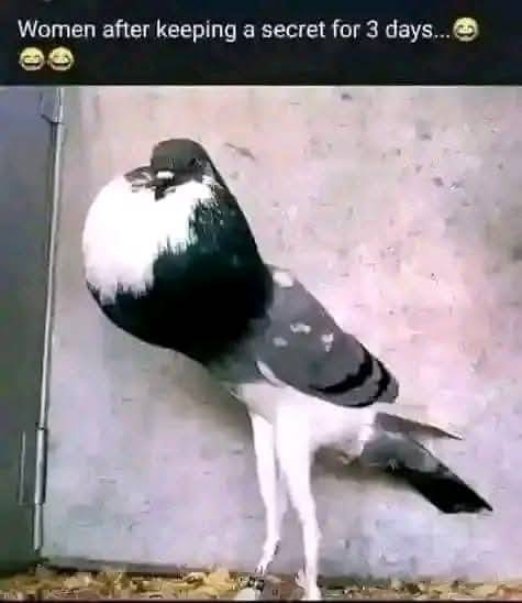 🤣🤣🤣🤣 this CREATURE ehh....
watin dey GOD mind when em dey create una self🤣🤣🤣
#LekeeLekee #Tr...
