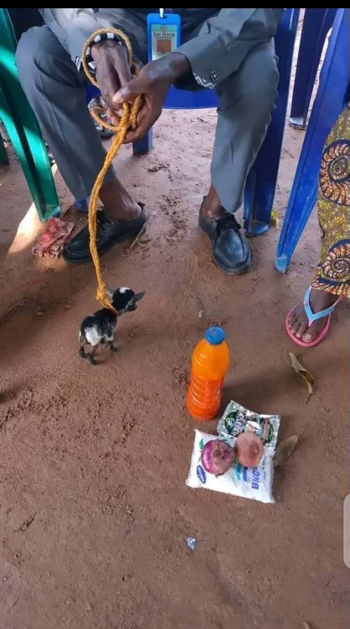 I say make I go pay bride price o 🤣