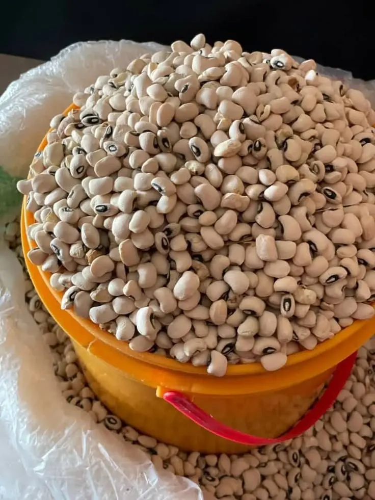 My #LekeeLekee family, please how do you preserve your beans from insect??
I bought two paints of b...