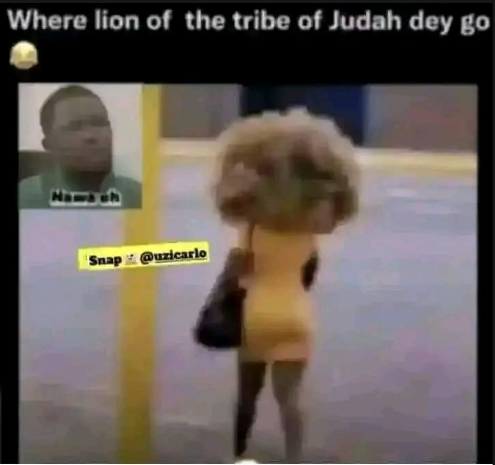 #shadyboy