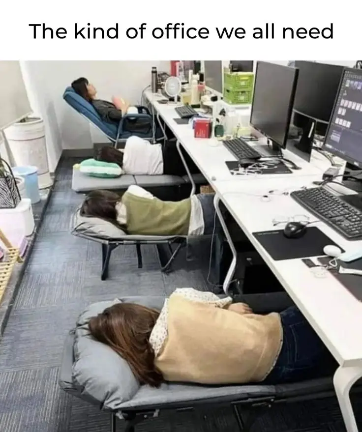 Forget open-plan offices, we need an office where sleeping is part of the job description. ๐๐ญ Work...