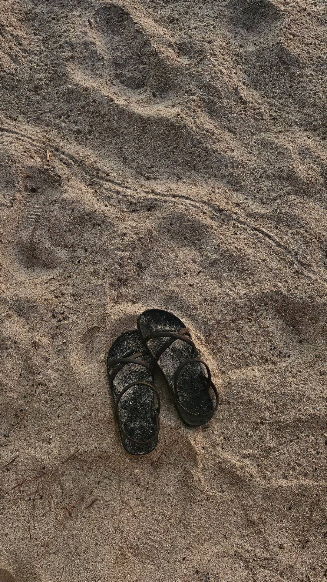 ⭐️ An appreciation post ⭐️
I was chilling at the beach yesterday when it suddenly hit me that the...
