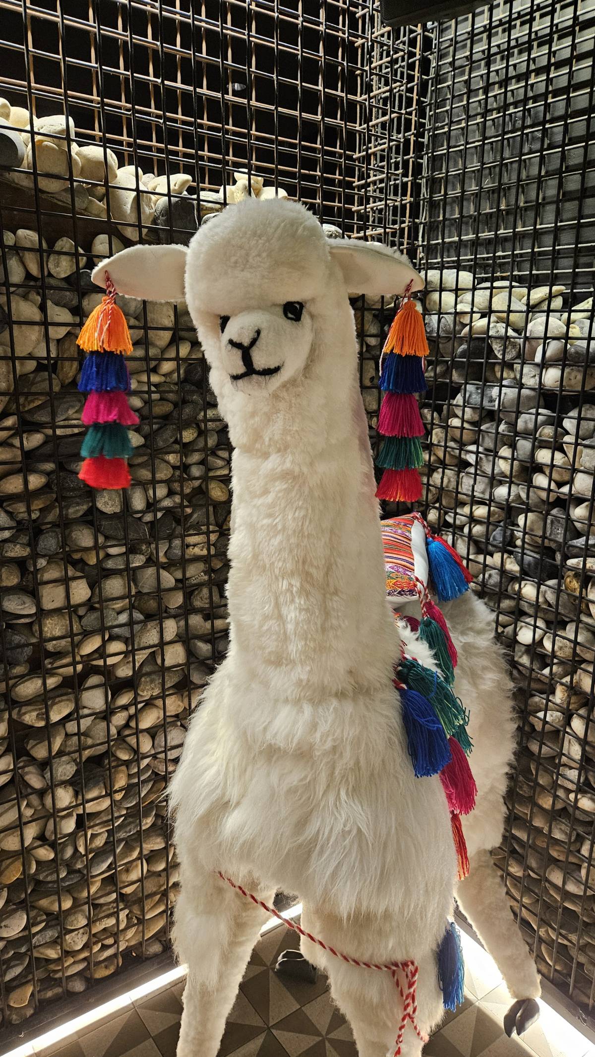 Haters are gonna say this is not a real llama ππ¦
Found it at a rooftop bar in Bangkok.