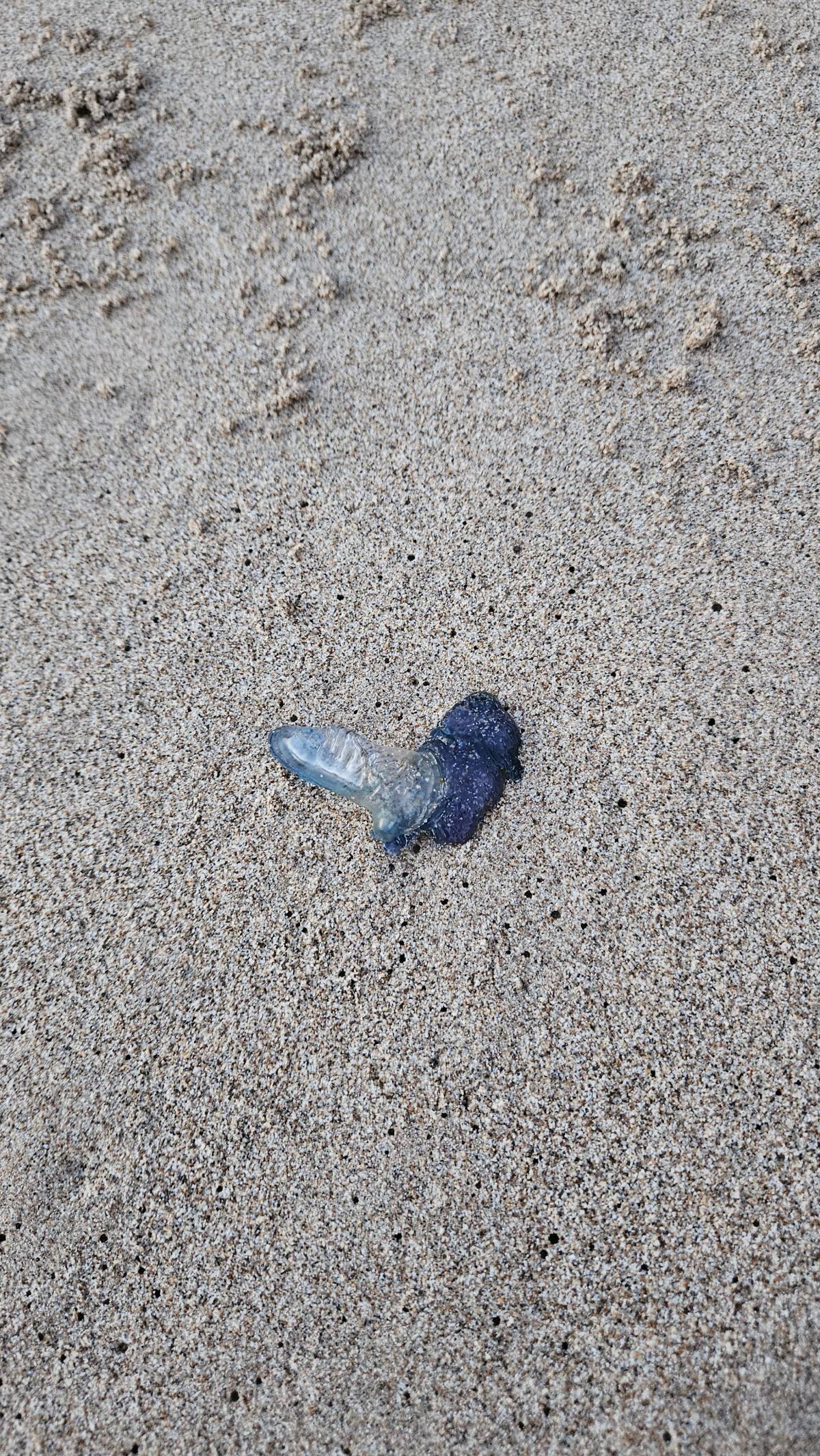 I was this close π€ to going for a swim yesterday... and thank goodness I didn't!!
When I got to th...