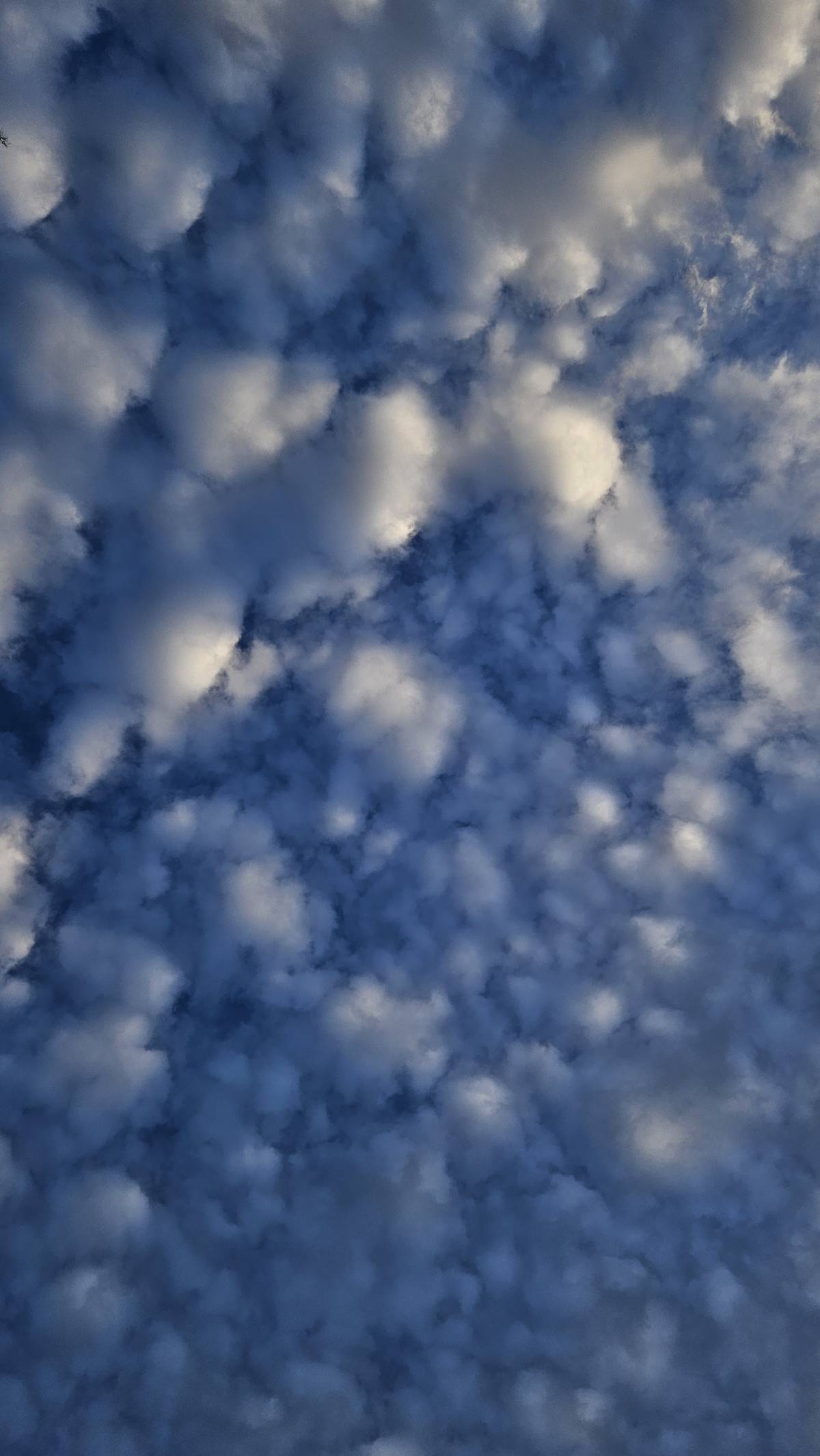 What could this be? ๐ค
A painting? An AI generated picture? ๐ค๐ค