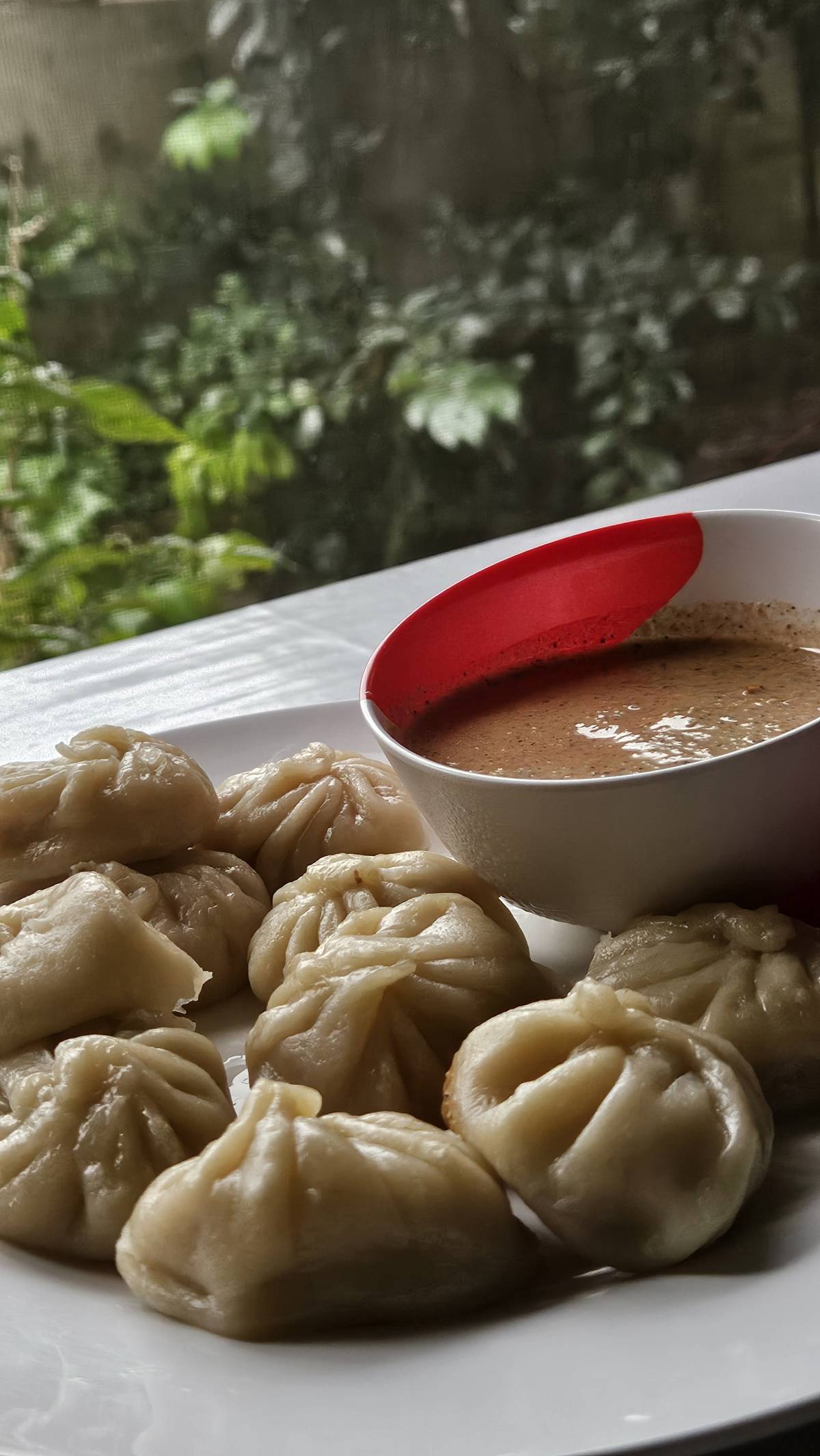 I randomly mentioned to my mum that I was craving for some momo. She got into making momo right away...