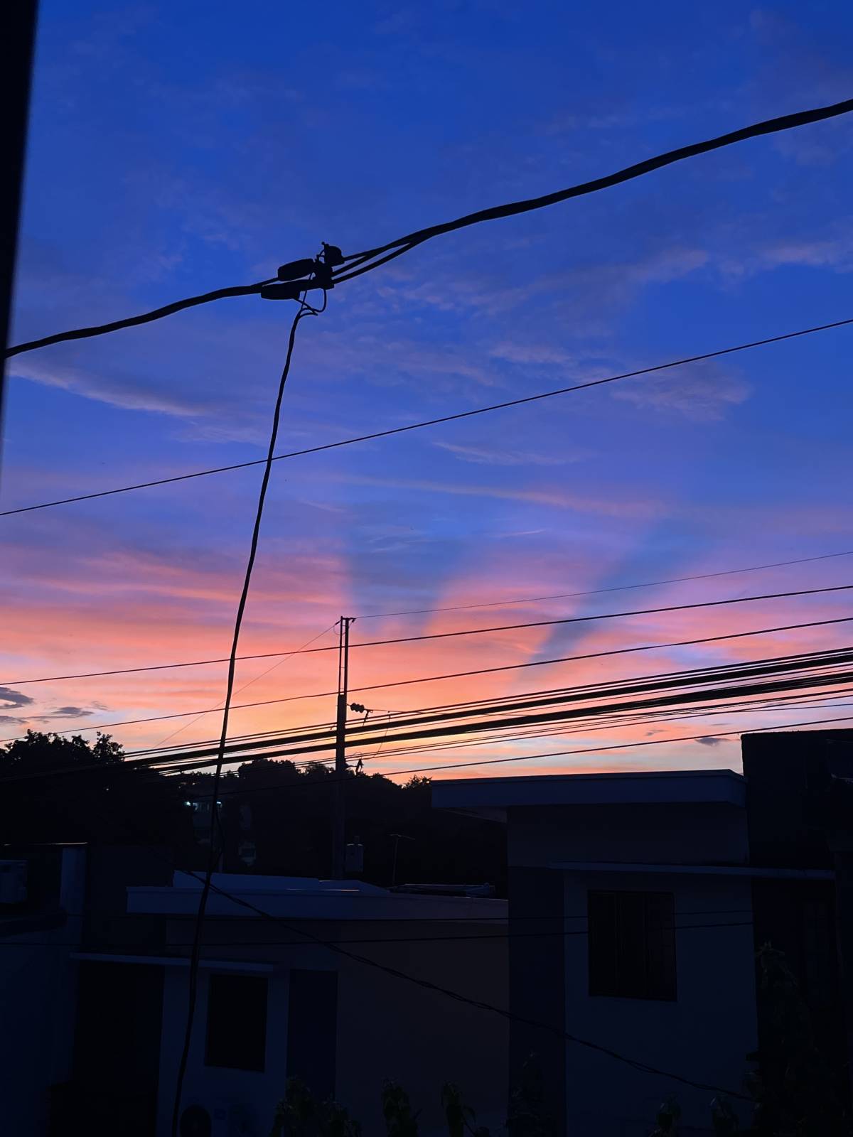 my view earlier 🌅