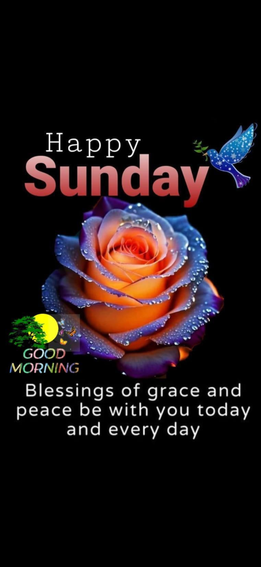 It's a good day to have a great day