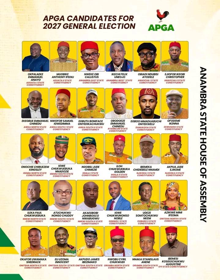 APGA set for 2027 Anambra state house of Assembly election