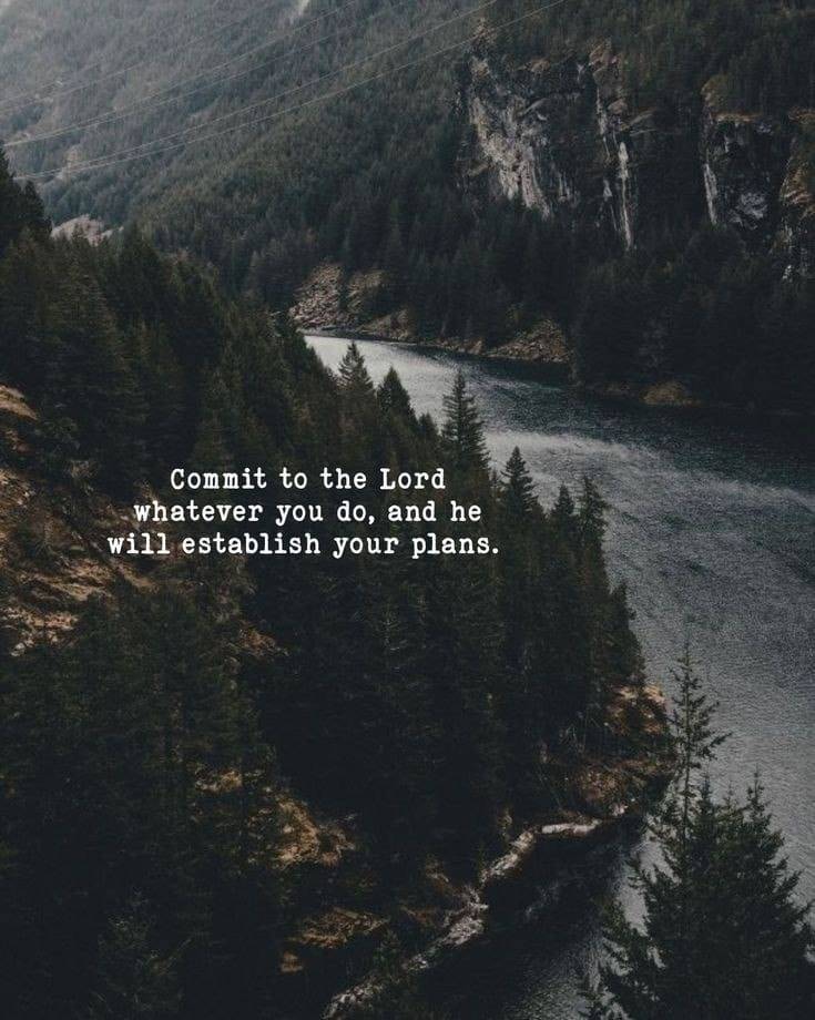 When you place your plans in God's hands, you no longer walk alone. Trust Him with your dreams, your...