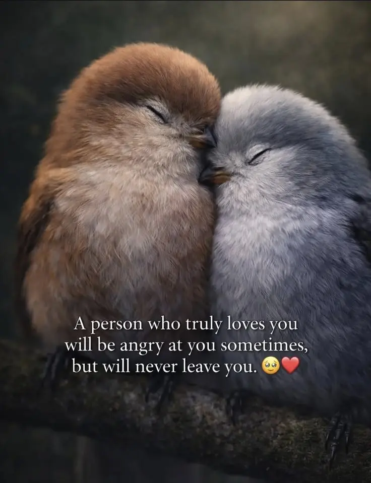 A person who truly loves you will be angry at you sometimes, but will never leave you 🥺❤️
Agree...