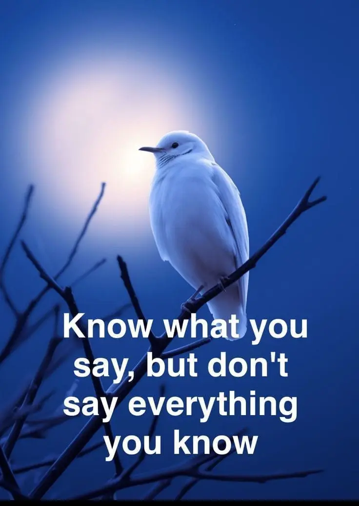 Sometimes silence is wisdom, you don't have to reveal everything you Know - observe, listen, let you...