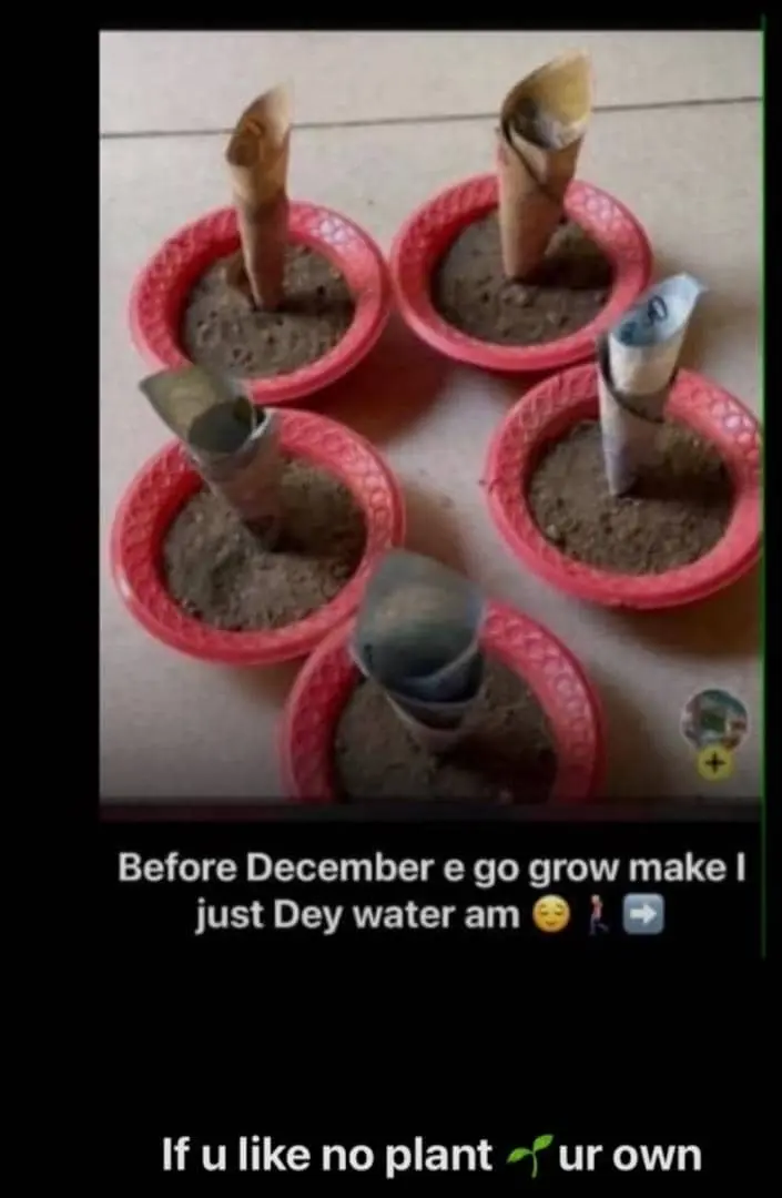December don set for me ๐ค