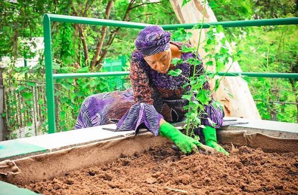 Once upon a time, a public figure in the person of the first lady,
When hunger was in the land, Mumm...
