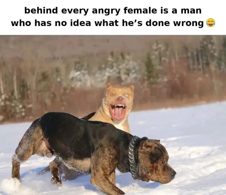 #News