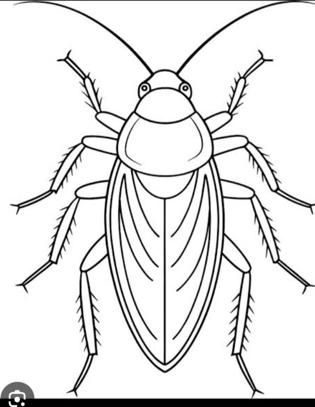 We have found ourselves in a generation where, if you kill a cockroach, you're considered a hero. Bu...