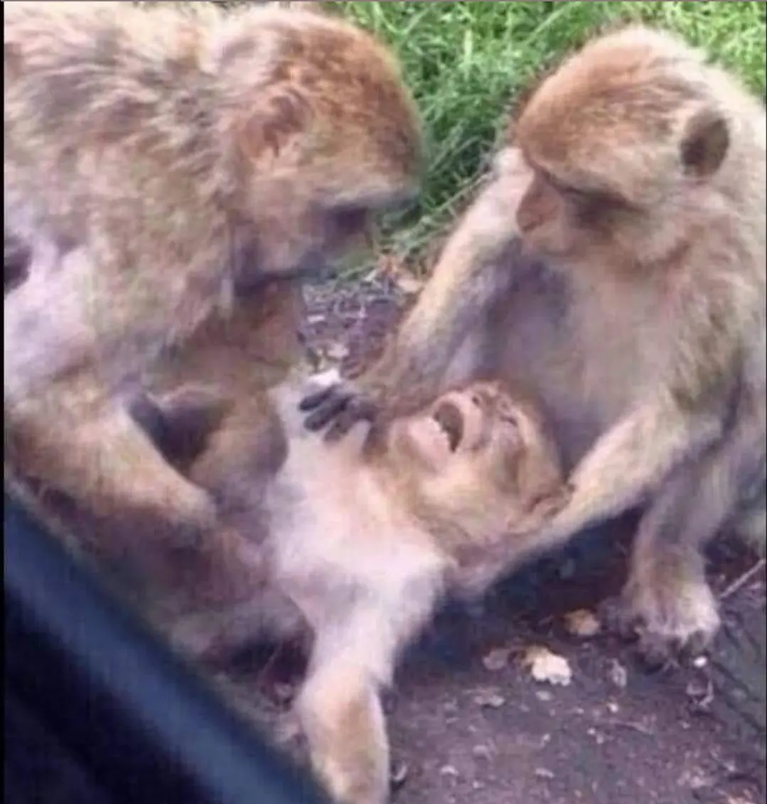 Please if I fall inside river and you bring me out and i wake and find out that it was my fellow guy...