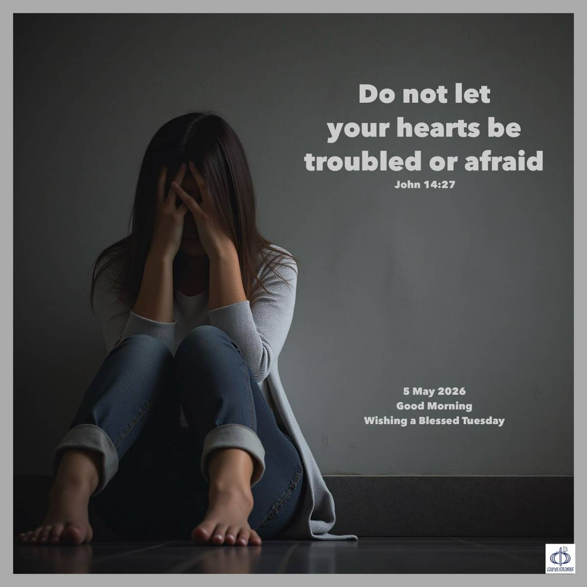 Do not let your hearts be troubled or afraid
(John 14:27)