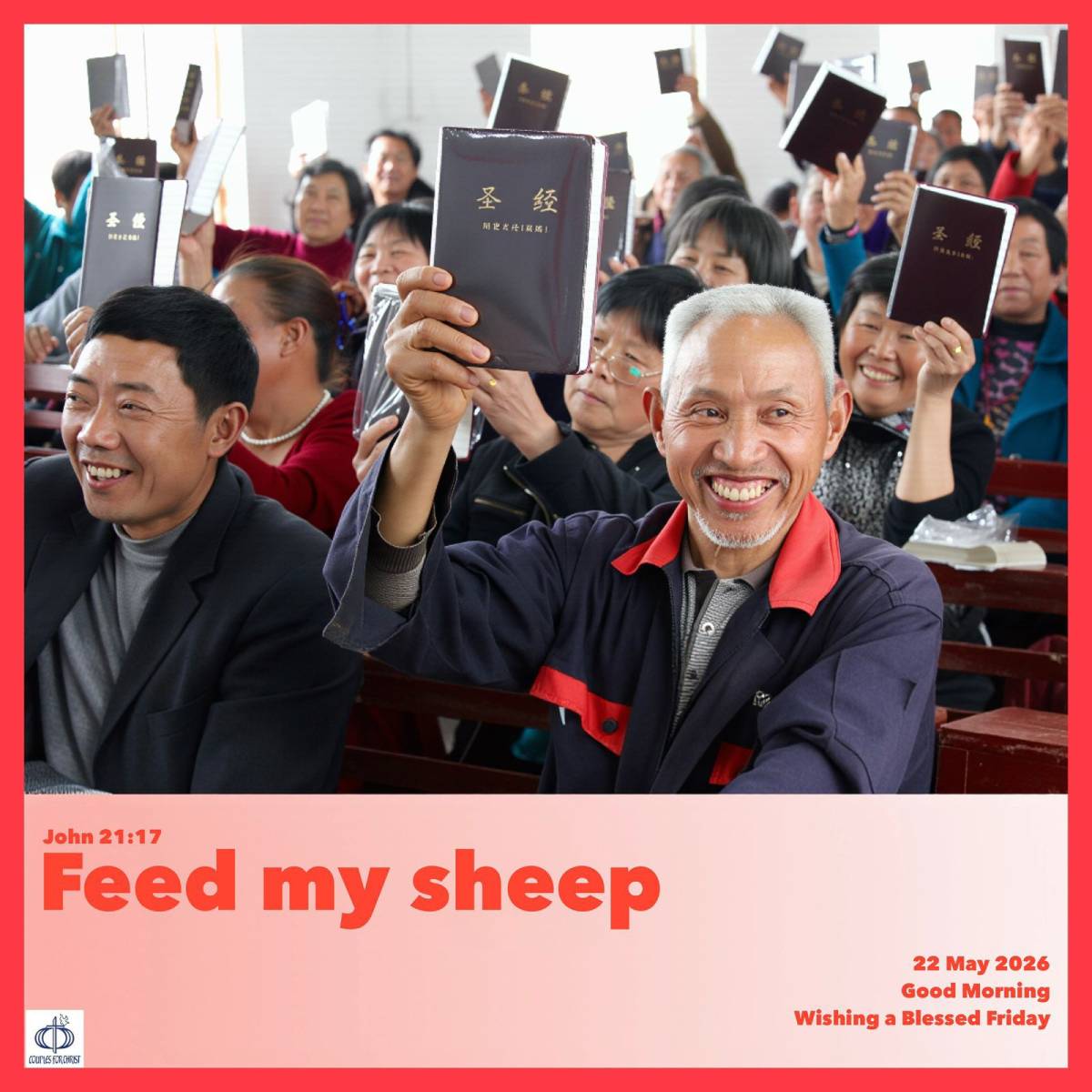 Feed my sheep 
(John 21:17)