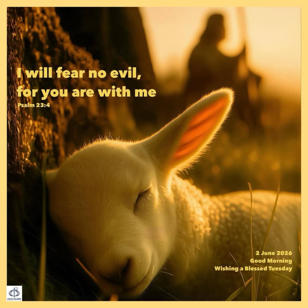 I will fear no evil for you are with me
(Psalm 23:4)