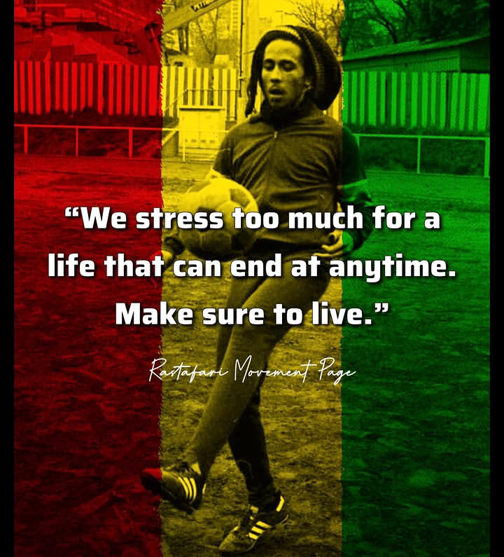We stress too much for a life that can end at anytime.
Make sure to live because we are living in a...